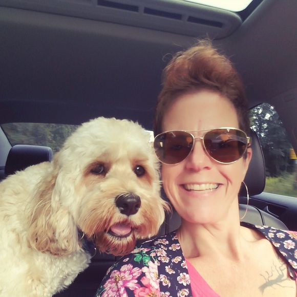 Meet your Posher, Shannon - Picture 1 of 1